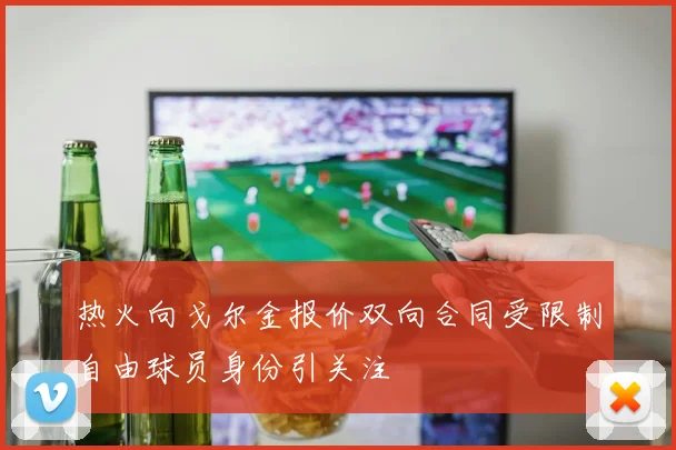 热火向戈尔金报价双向合同受限制自由球员身份引关注