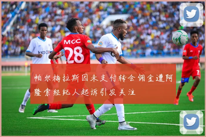 帕尔梅拉斯因未支付转会佣金遭阿隆索经纪人起诉引发关注