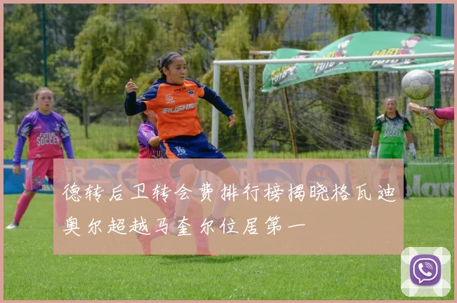 德转后卫转会费排行榜揭晓格瓦迪奥尔超越马奎尔位居第一